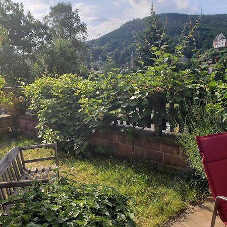 Panorama-Blick Miltenberg, 3 Pers., Zentr., Am Main, Terrasse, Bootverleih, P المظهر الخارجي الصورة