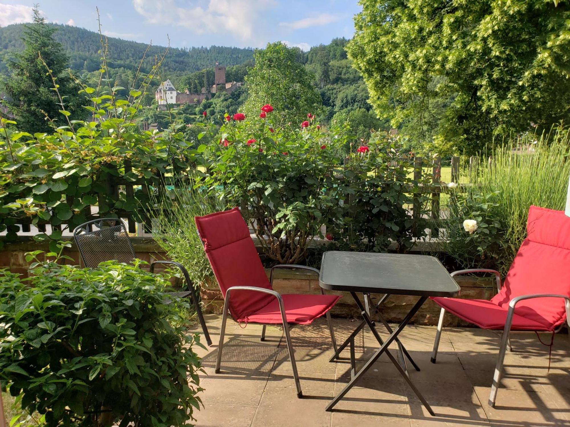 Panorama-Blick Miltenberg, 3 Pers., Zentr., Am Main, Terrasse, Bootverleih, P المظهر الخارجي الصورة