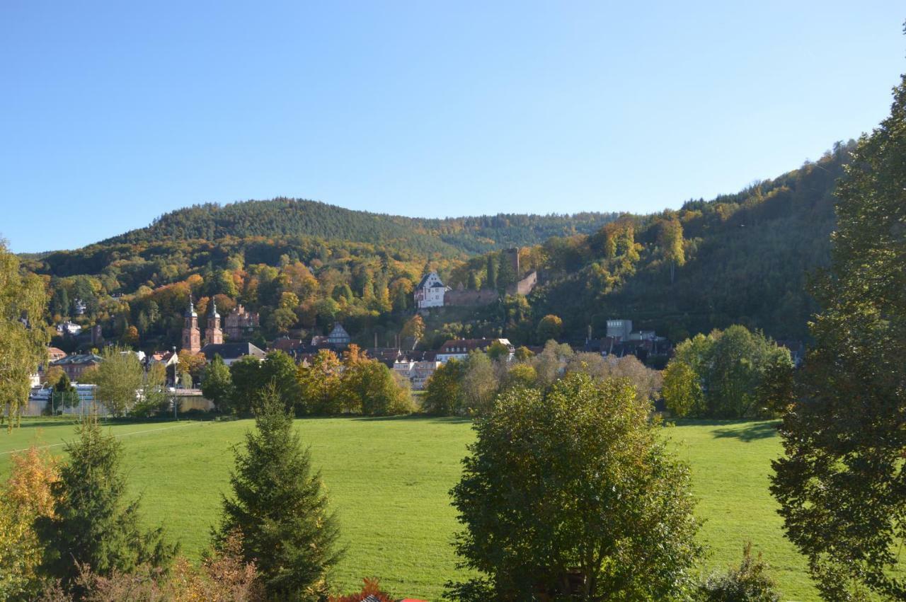 Panorama-Blick Miltenberg, 3 Pers., Zentr., Am Main, Terrasse, Bootverleih, P المظهر الخارجي الصورة