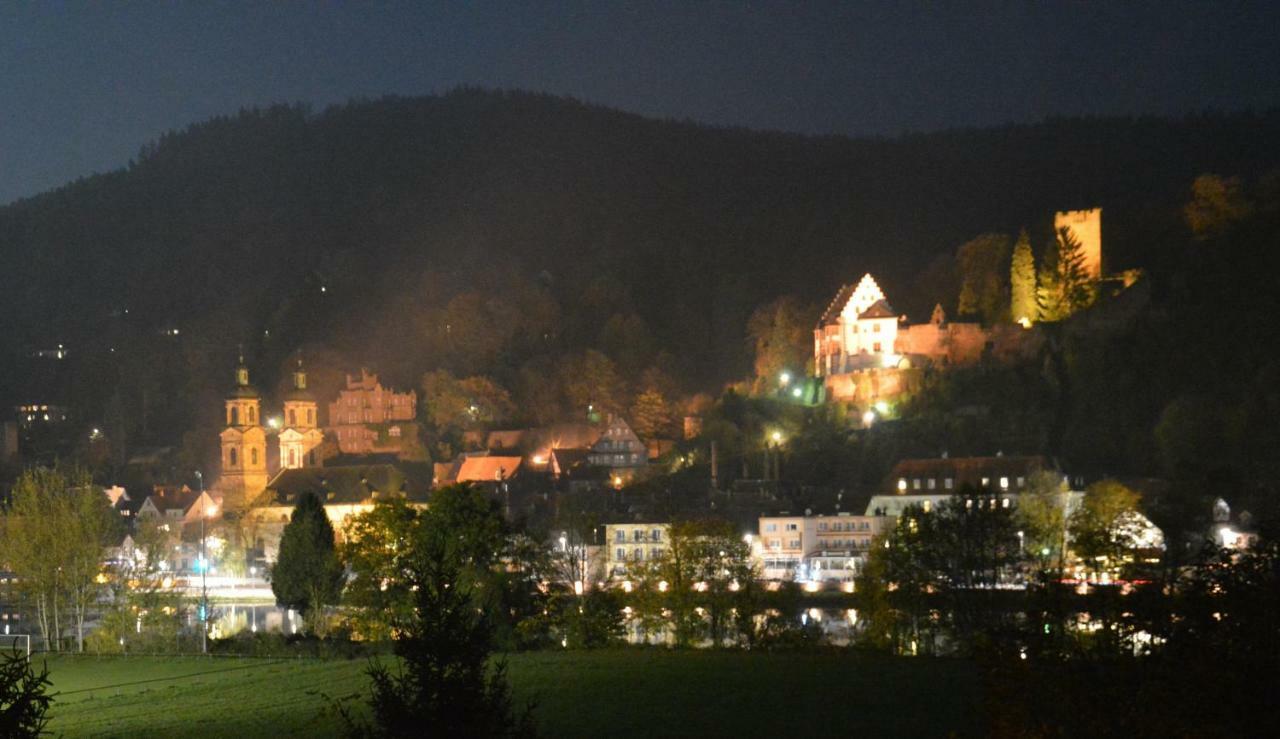 Panorama-Blick Miltenberg, 3 Pers., Zentr., Am Main, Terrasse, Bootverleih, P المظهر الخارجي الصورة
