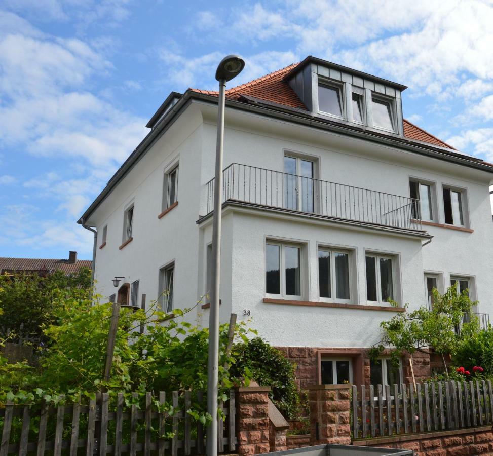 Panorama-Blick Miltenberg, 3 Pers., Zentr., Am Main, Terrasse, Bootverleih, P المظهر الخارجي الصورة