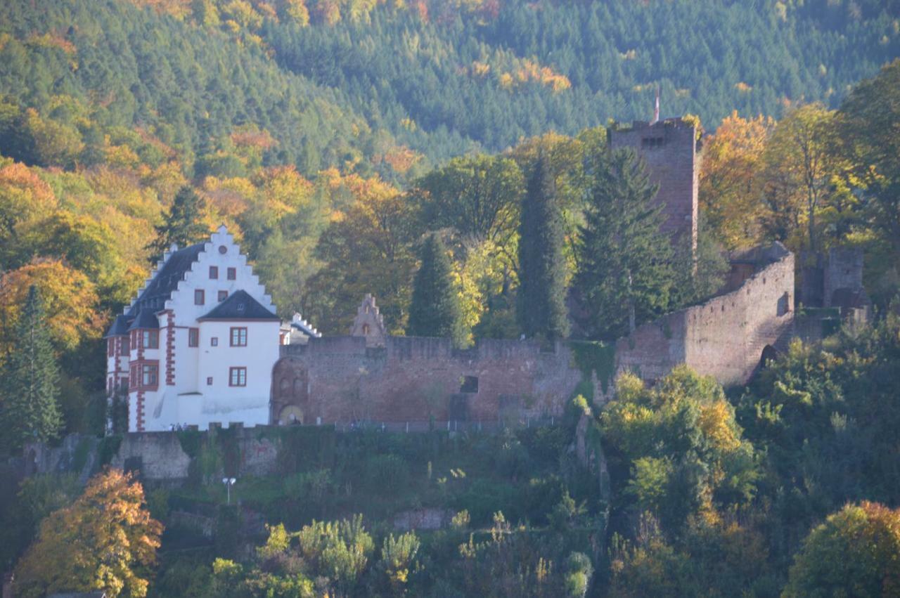 Panorama-Blick Miltenberg, 3 Pers., Zentr., Am Main, Terrasse, Bootverleih, P المظهر الخارجي الصورة