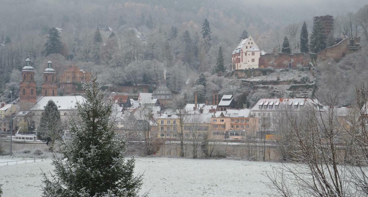 Panorama-Blick Miltenberg, 3 Pers., Zentr., Am Main, Terrasse, Bootverleih, P المظهر الخارجي الصورة