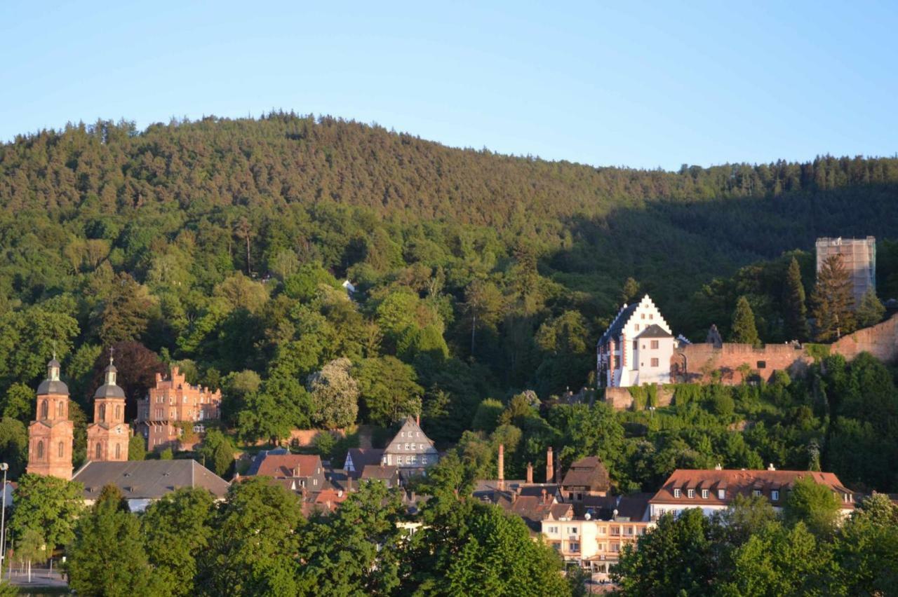 Panorama-Blick Miltenberg, 3 Pers., Zentr., Am Main, Terrasse, Bootverleih, P المظهر الخارجي الصورة