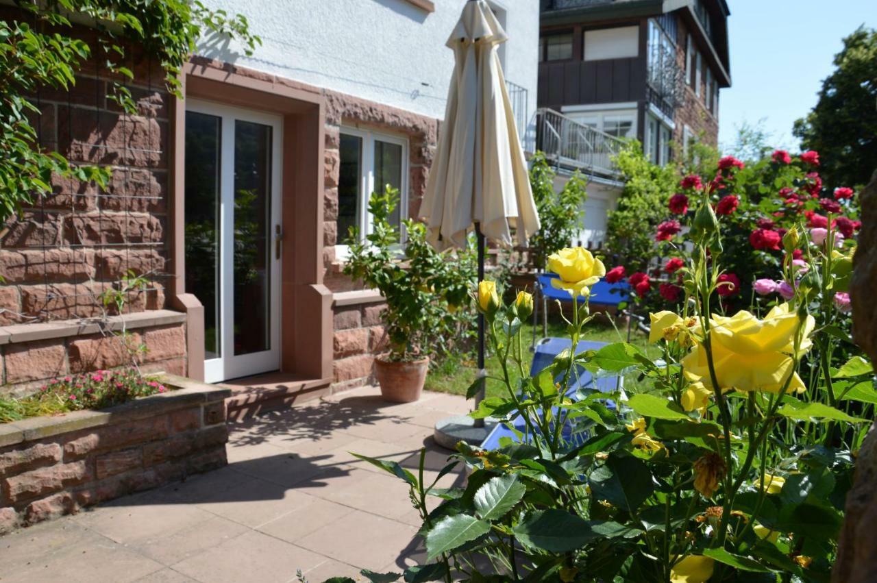 Panorama-Blick Miltenberg, 3 Pers., Zentr., Am Main, Terrasse, Bootverleih, P المظهر الخارجي الصورة